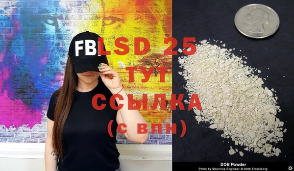 прущие грибы Вязники