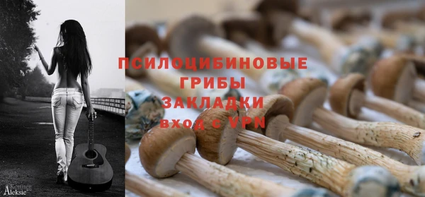 экстази Вяземский