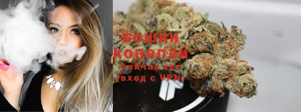 прущие грибы Вязники