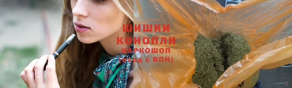 прущие грибы Вязники
