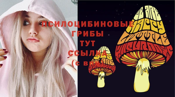 прущие грибы Вязники