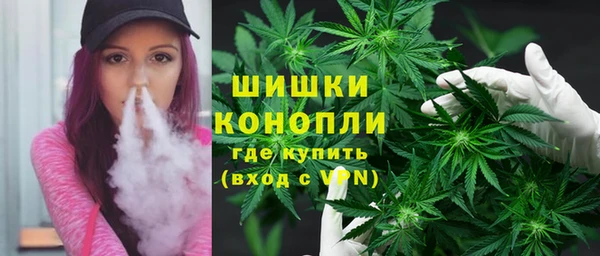прущие грибы Вязники